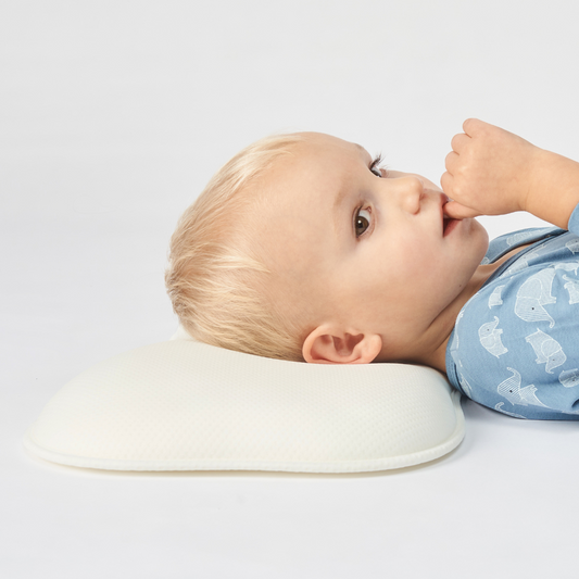 Honigbär umweltfreundliches MAXI Kopfkissen für Babys und Kleinkinder (weiß) | 0-36 Monate
